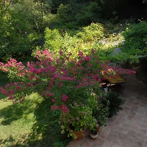 chambres-dhotes-il-monticello.fr-provencehotel.com/